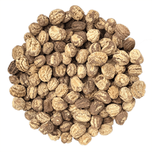 Semences- Capucine Nasturtium Empress