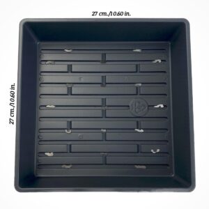 Plateau_carré_4