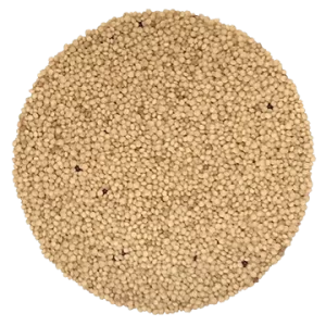 Amarante biologique