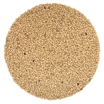 Amarante biologique