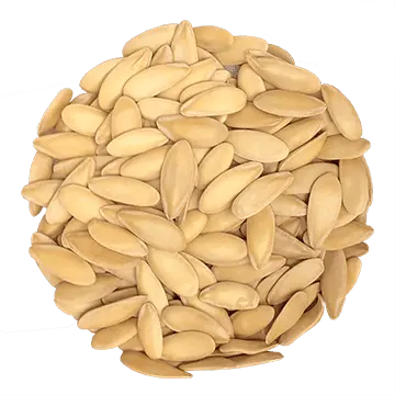 Organic Cantaloupe Melon