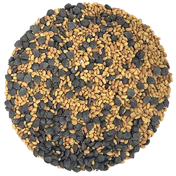 Luzernette organic mix (Alfalfa & Chives)