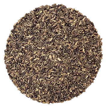 Chicorée Rouge biologique