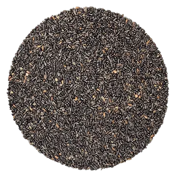 Organic Lemon Balm